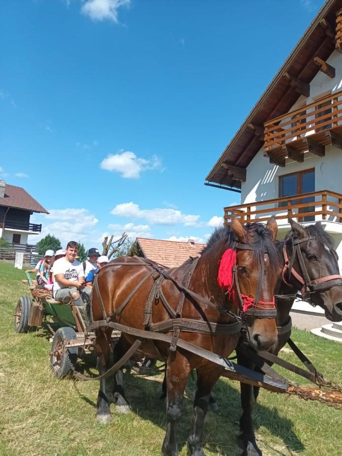 Casa Calea Haiducilor Sohodol  Bagian luar foto